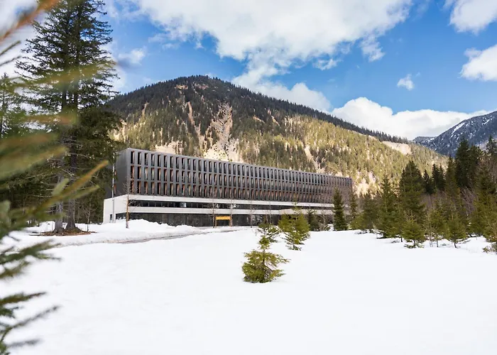 Alpenhotel Ammerwald מלון רויטה